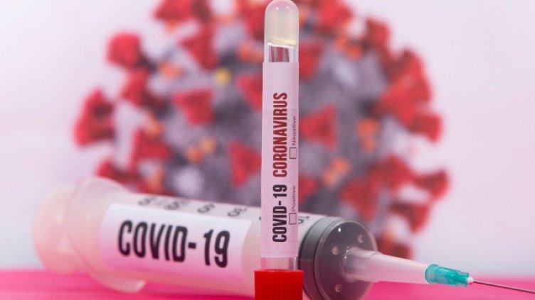 Снимка: Pixabay