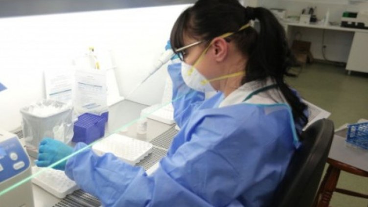 Снимка:Димитър Кьосемарлиев, Dnes.bg