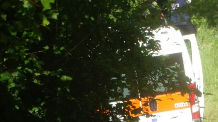 Снимка: БГНЕС, архив