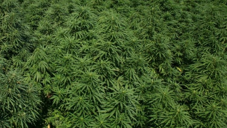 Снимка: БГНЕС/архив