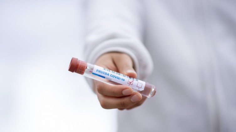 Снимка: Pixabay