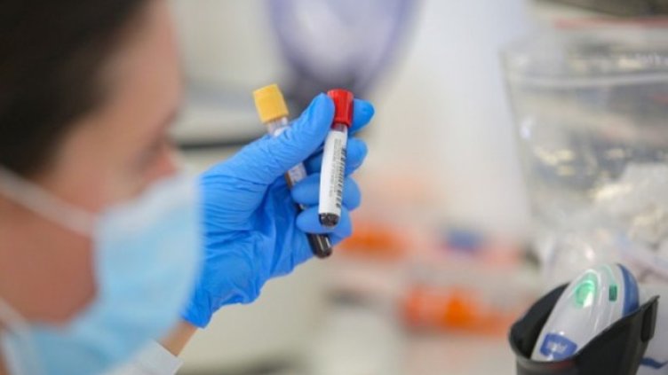 Снимка:Димитър Кьосемарлиев, Dnes.bg