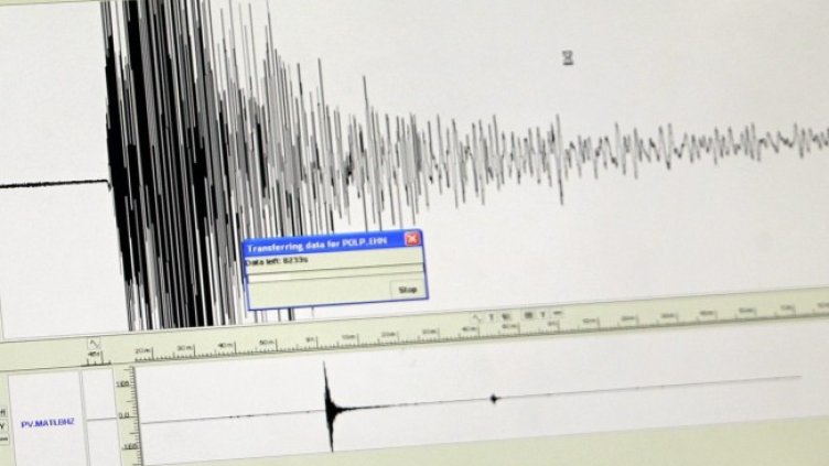 Снимка: архив, БГНЕС