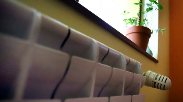 Снимка: архив, БГНЕС