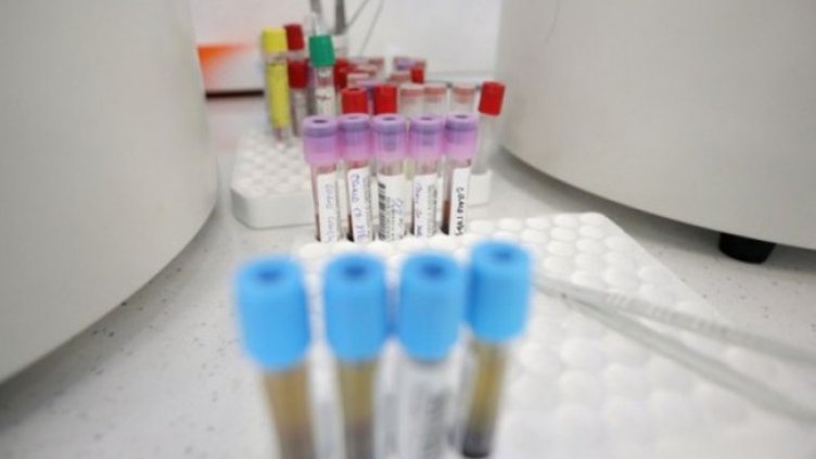 Снимка:Димитър Кьосемарлиев, Dnes.bg