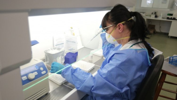 Снимка: Димитър Кьосемарлиев, Dnes.bg