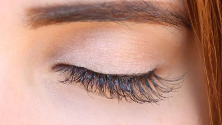 Снимка: Pixabay