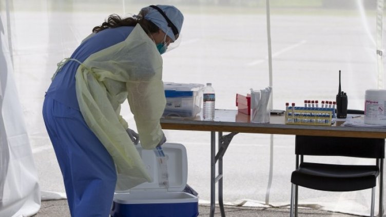 Снимка: БГНЕС