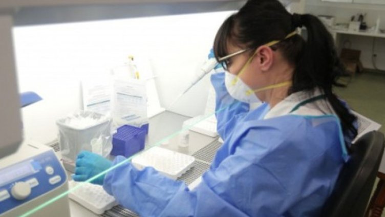 Снимка:Димитър Кьосемарлиев, Dnes.bg