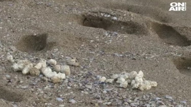 Кадър: Bulgaria ON AIR