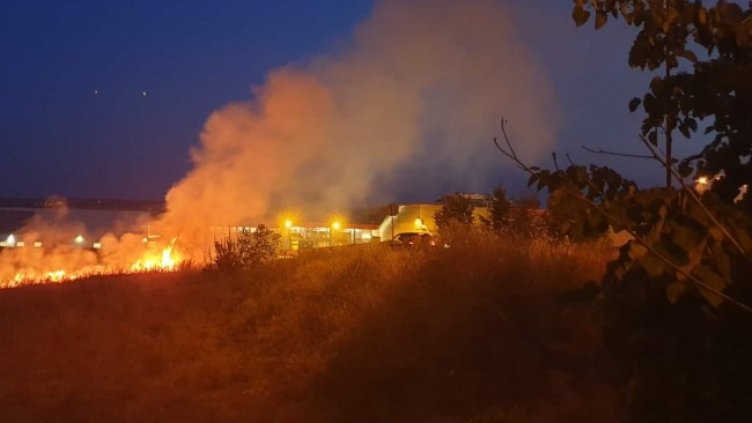 Снимка: Pixabay