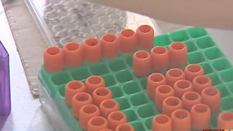 Снимка: Bulgaria ON AIR