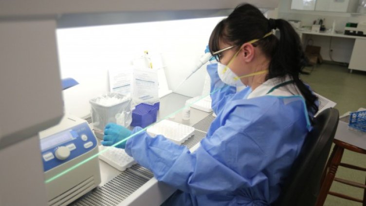 Снимка: Димитър Кьосемарлиев, Dnes.bg