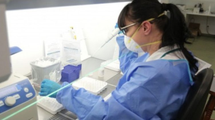 Снимка:Димитър Кьосемарлиев, Dnes.bg