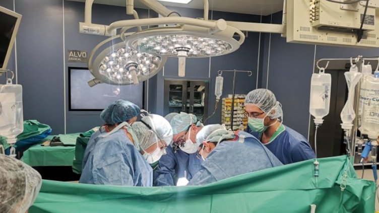 Снимка: архив, БГНЕС