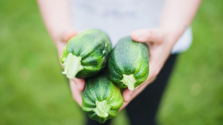 Снимка: Pixabay