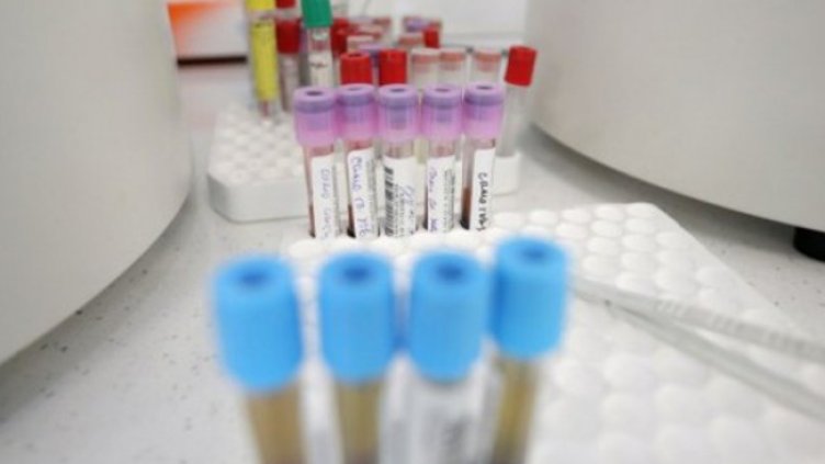 Снимка: Димитър Кьосемарлиев