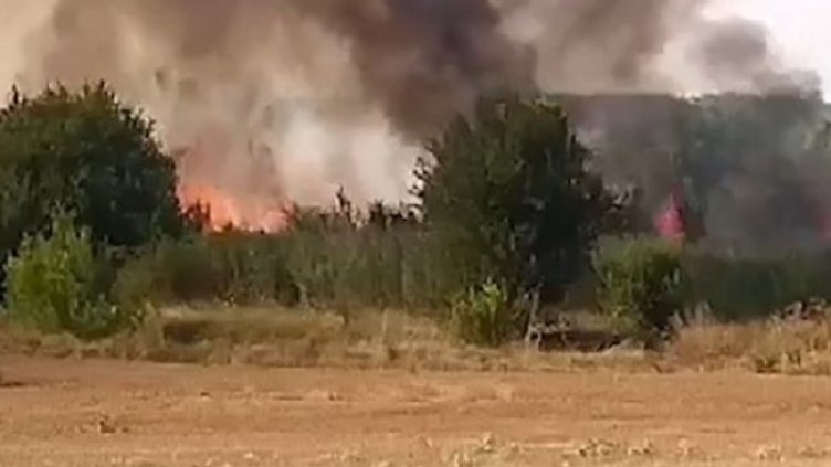 Снимка: архив, БГНЕС