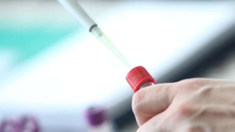 Снимка:БГНЕС