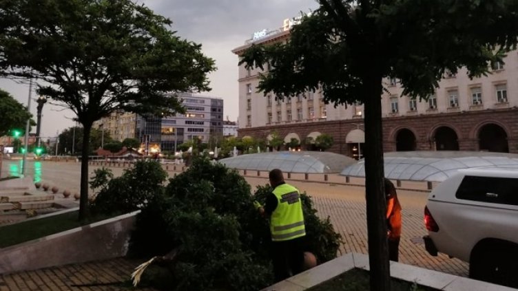 Снимка: БГНЕС