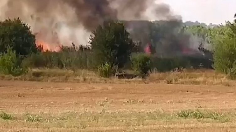 Снимка: БГНЕС, архив