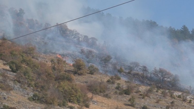 Снимка: БГНЕС