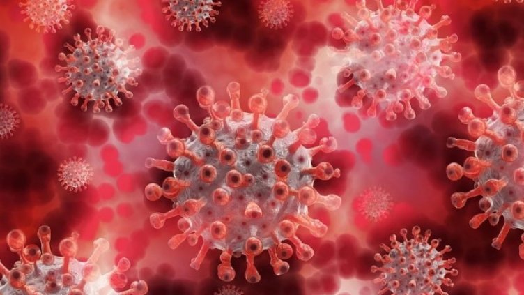 Снимка: Pixabay