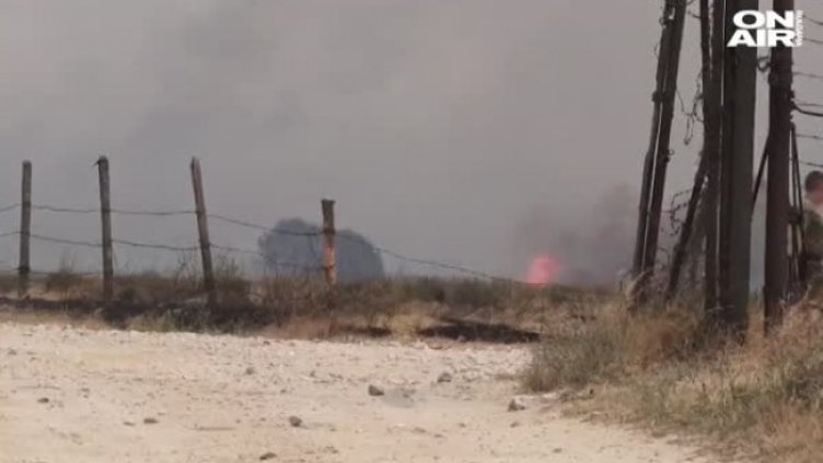 На борба с огнената стихия: Пожарът в Хасковско се разраства