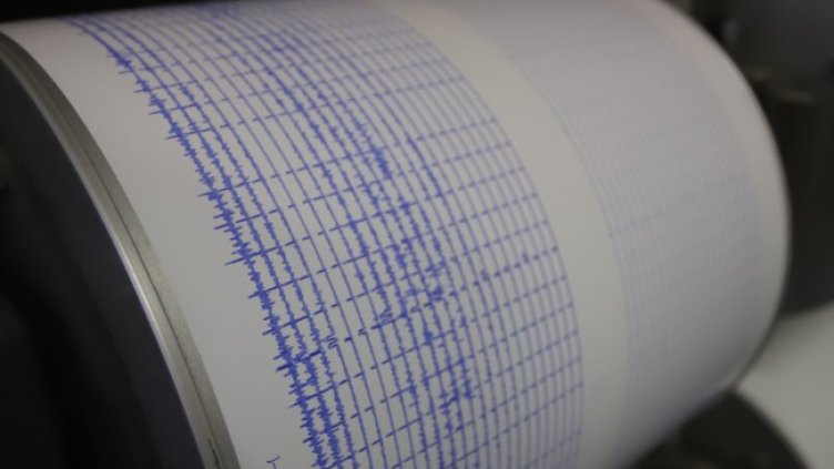 Снимка: архив, БГНЕС