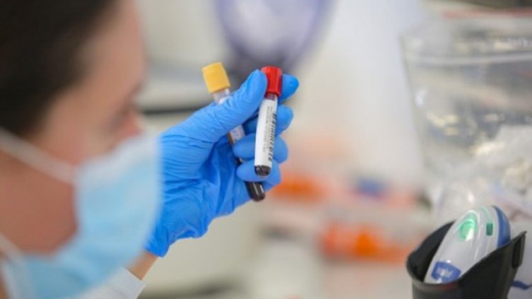 Снимка:Димитър Кьосемарлиев, Dnes.bg