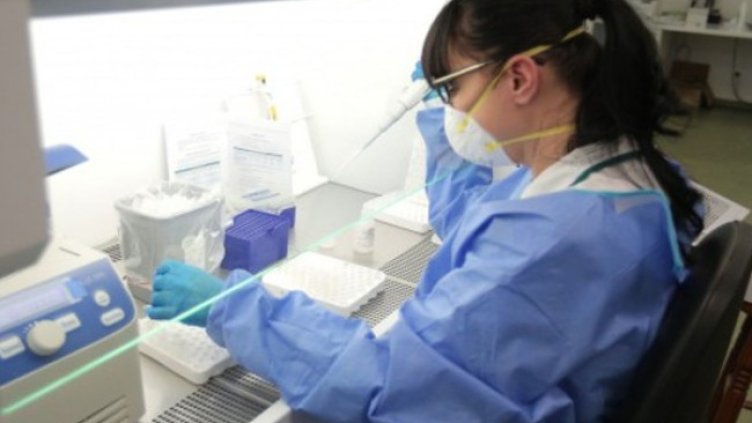 Снимка:Димитър Кьосемарлиев, Dnes.bg