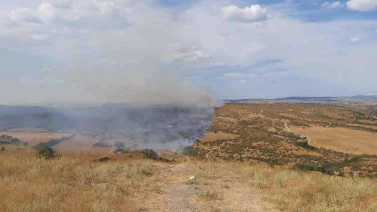 Снимка: архив, БГНЕС