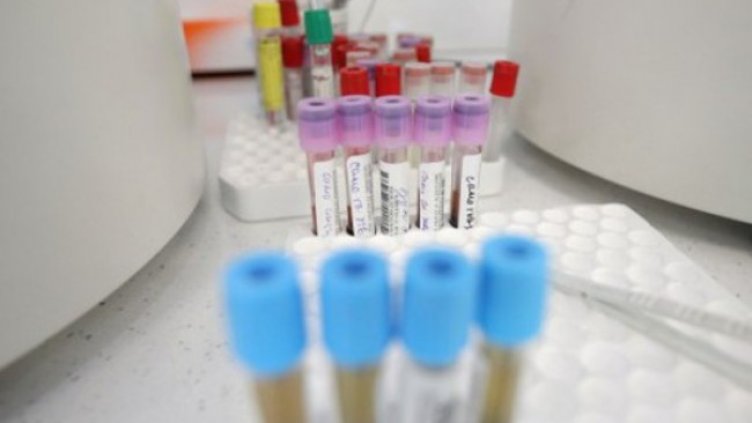 Снимка: Димитър Кьосемарлиев