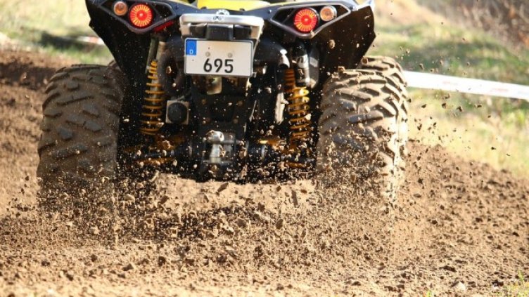 Снимка: Pixabay