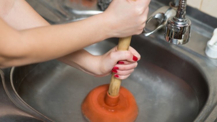 Снимка: Istock