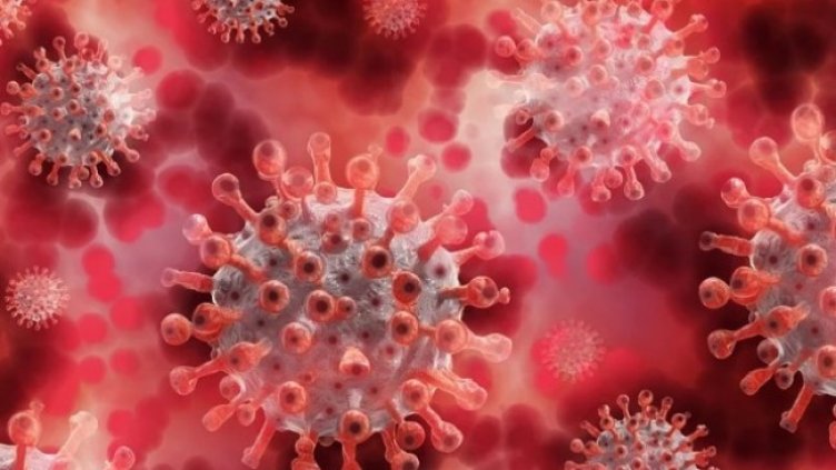 Снимка: Pixabay