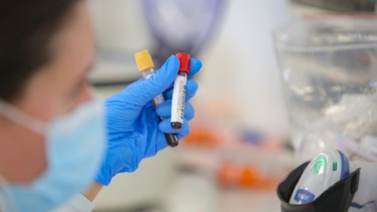 Снимка:Димитър Кьосемарлиев, Dnes.bg