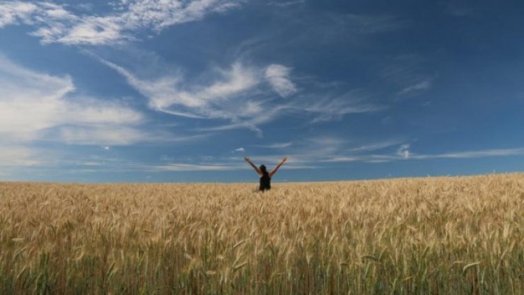 Снимка: Pexels