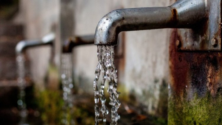 Снимка: Pixabay