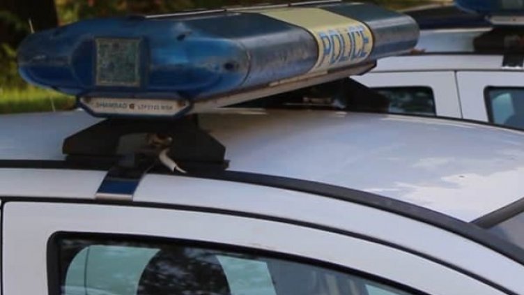 Снимка: архив, БГНЕС