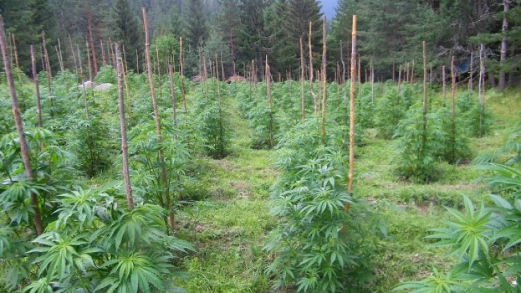 Снимка: Главна дирекция "Гранична полиция"