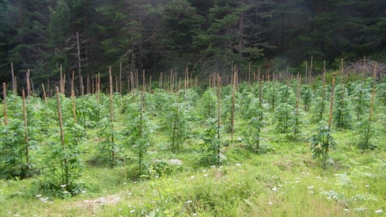 Снимка: МВР