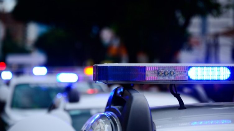 Снимка: Pixabay