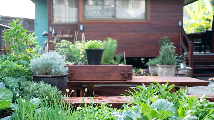 Снимка: Getty images