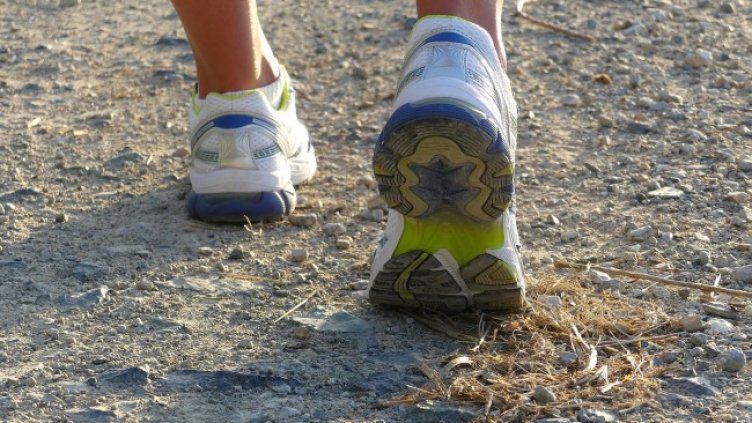 Снимка: Pixabay