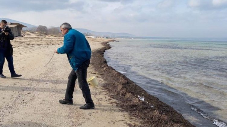 Снимка: БГНЕС