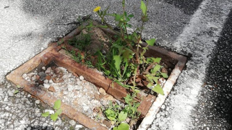 Снимка: Helpbook