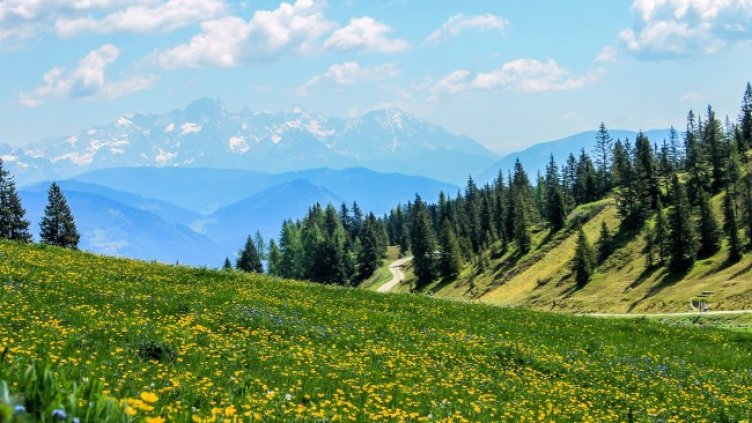 Снимка: Pixabay