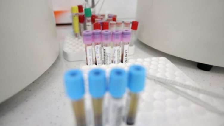 Снимка: Димитър Кьосемарлиев