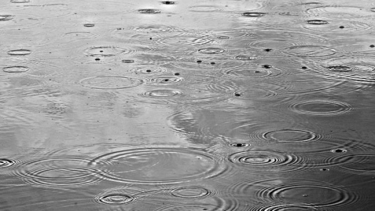 Снимка: Pixabay